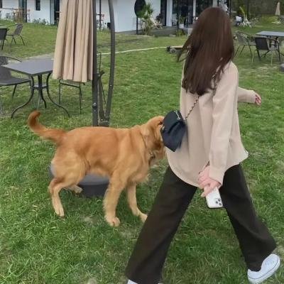 红色白鹦鹉