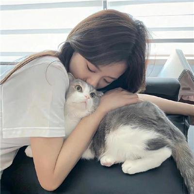 飞狐外传